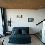 Duplex T1 Vue Mer A Arcachon - Acces Direct Plage - Quartier Aiguillon - Fr-1-319-71